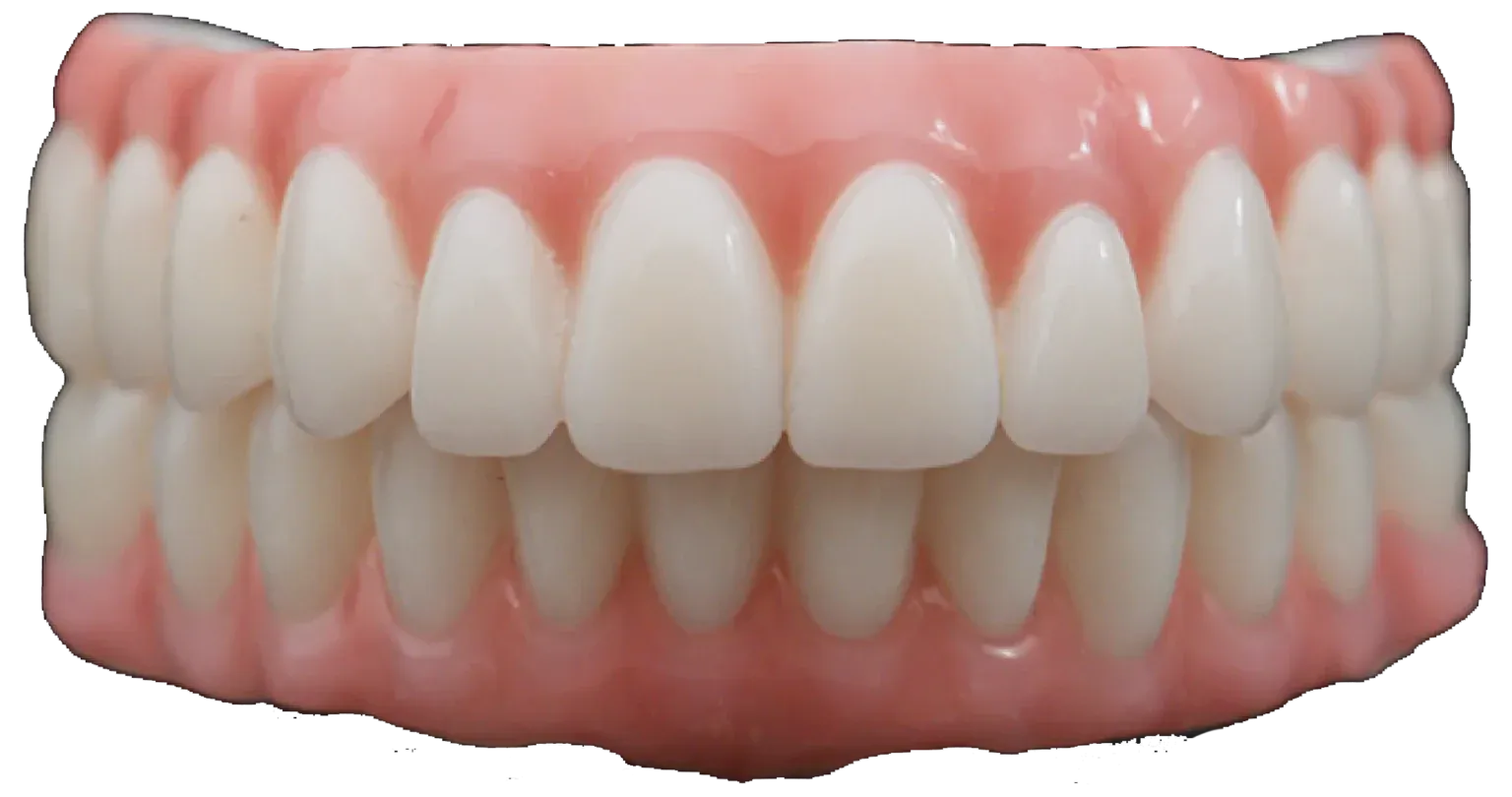 Front View of Teeth